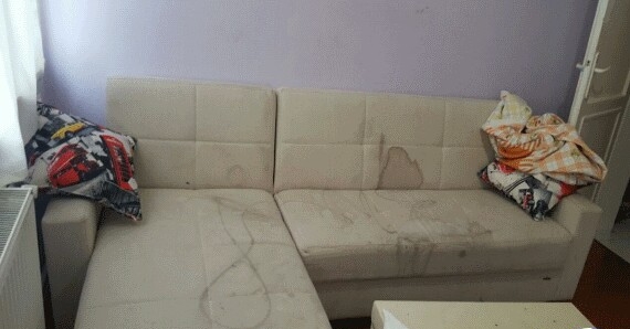 koltuk yıkama